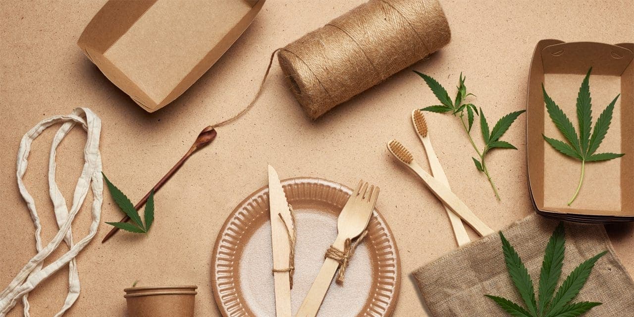 uses of hemp in an image (hemp yarn, fabric, disposable paper plates, spoon and fork, glasses, toothbrush and food containers)